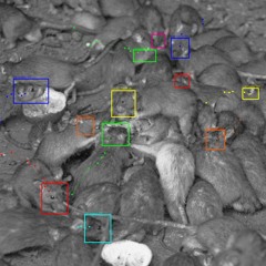 Ϡொ௲Ⴟ०१৶ொᛤႿႿႿႿႿႿႿᛤᛤ៘ႿႿᤦᤦᤦᤦ