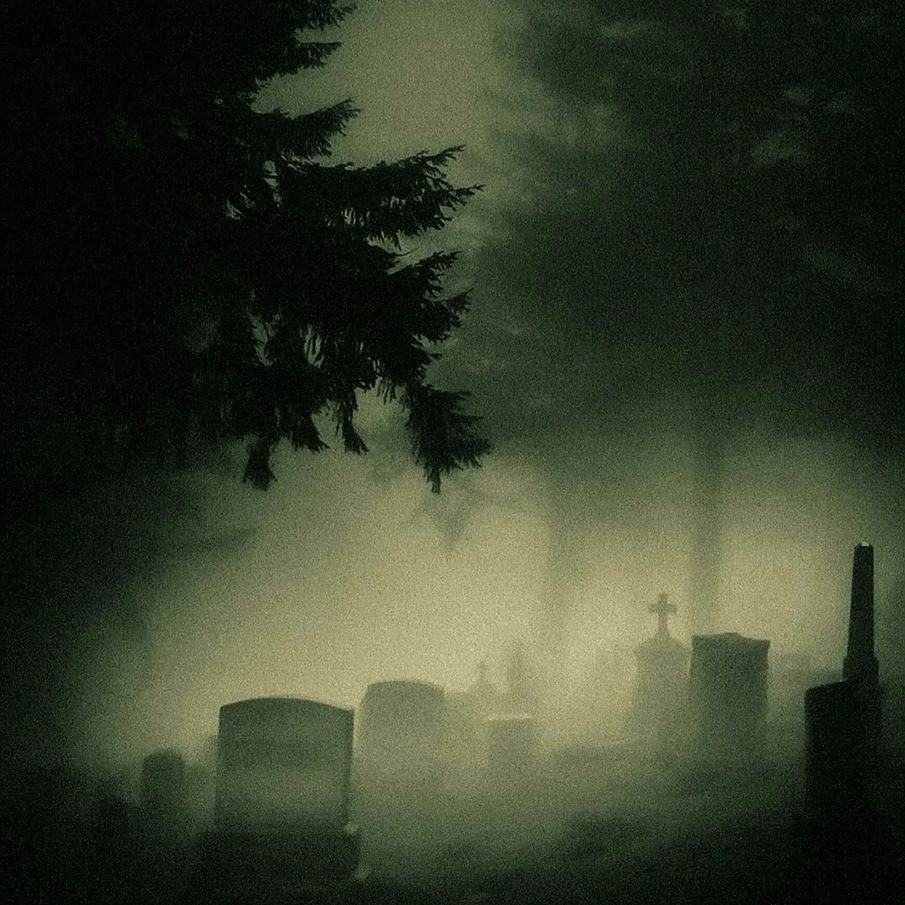 Curios episode artwork
