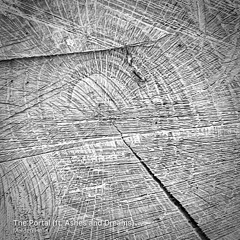 The Portal (ft. Ashes and Dreams)