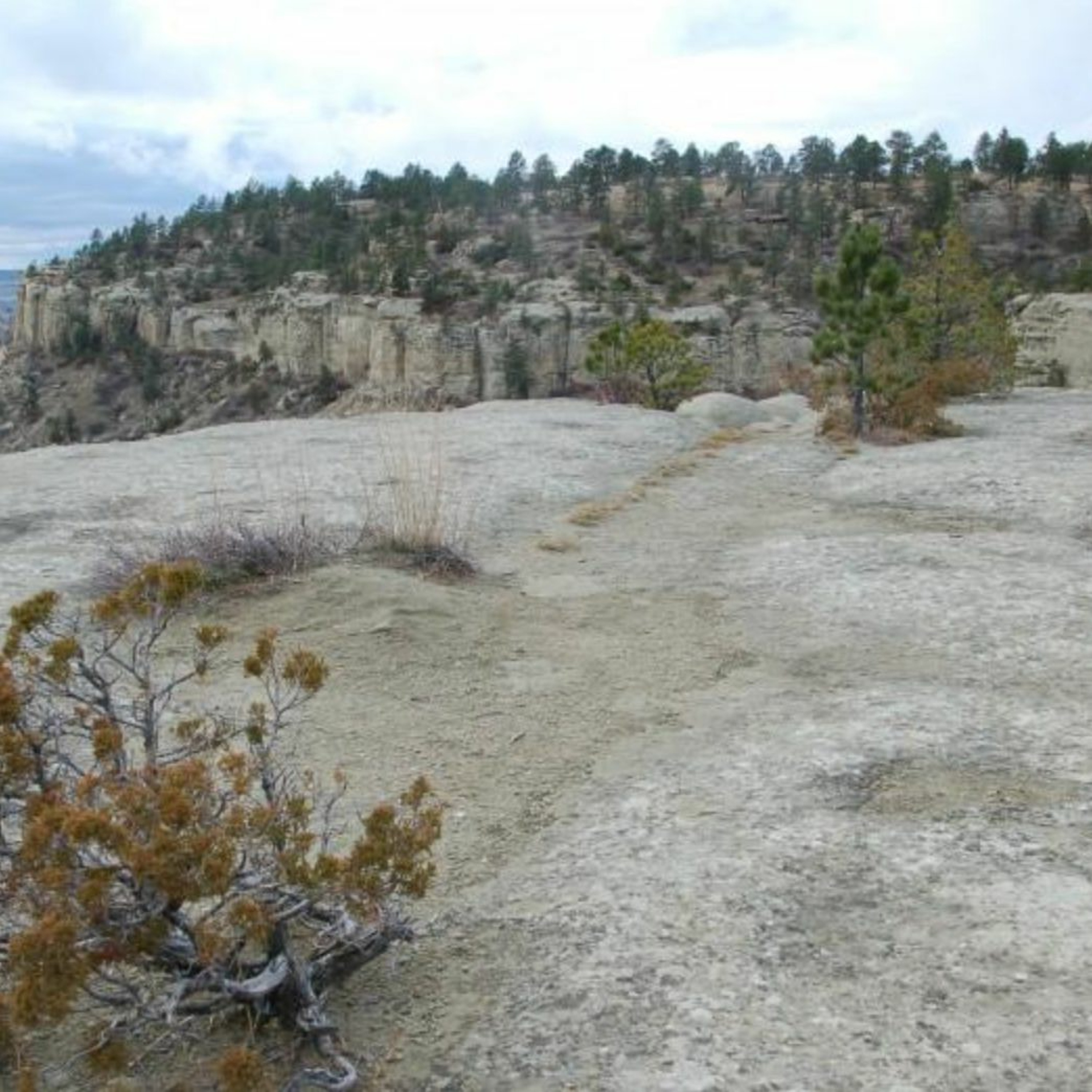 Trail of the Week