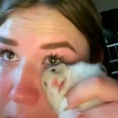 I own you