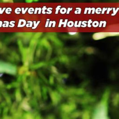 Best Things To Do On Christmas Day In Houston Texas Tours Reviews