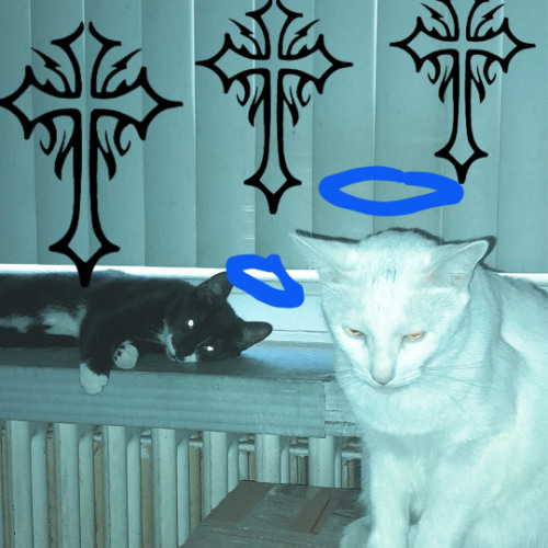 DEEE ARRR AYYYEEE CEEEE OOOO AYY KAYYY (prod by Thyeosthyco)