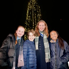 'T is for Tree' by Isabel Galleymore