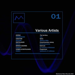 DigitalKaos -Consciousness Raising_Original Mix. [Mechanical Wave Records]