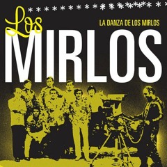 Los Mirlos – La Danza De Los Mirlos ( SxLZxR Remix )