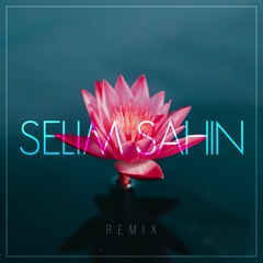 Sezen Aksu - Ne Yapayım Şimdi Ben (Selim Şahin Remix)