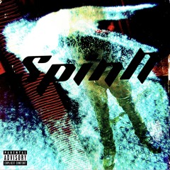 spinN