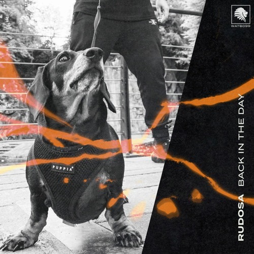 Rudosa - Back In The Day