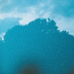 _s0000_cuUNtT_ (SPIRELEAF)