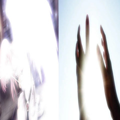 HELL STILL P. Vrtex