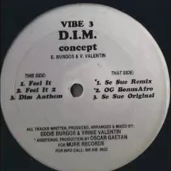 D.I.M. Concept - Feel It - Se Sue Original.mp3