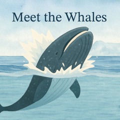 Meet the Whales