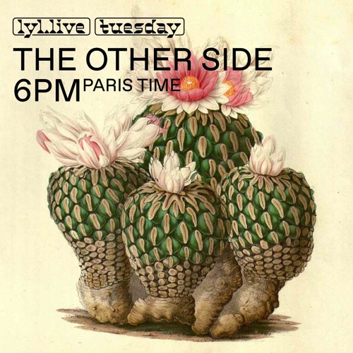 The Other Side 45, Lyl Radio 25/05/21 (extract from A Party In My Head)