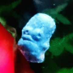 Sour Sobz (ft. Jpeg the Jenius)