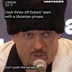 Don't Push the Horses feat. Usyk (Dmitriiev EDIT cut)