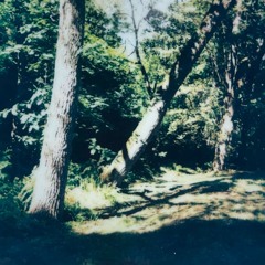 sanctuary