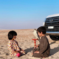 قصيدة ضيدان في طيره فواز