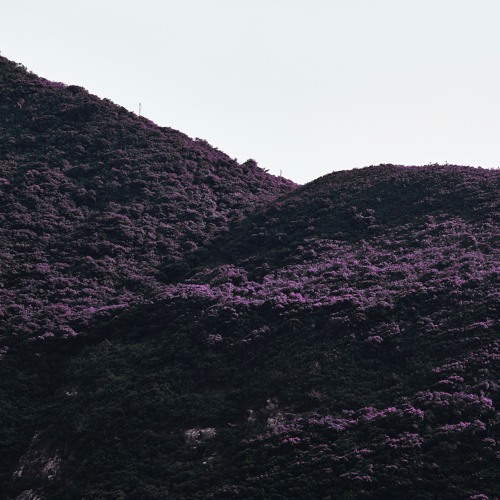 Rotations of Life w/ Body Kit - March 2021