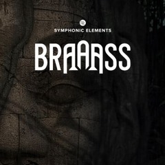Symphonic Elements BRAAASS - Believe In You by Lars Soederberg