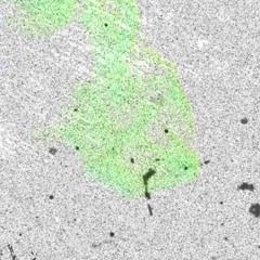 MOON MONSTERS (2014)