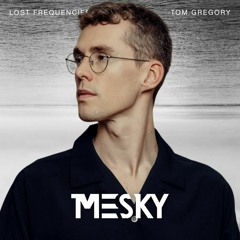 Lost Frequencies ft. Tom Gregory - Dive (Mesky Remix)