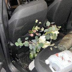 Subaerial: Revival - Emiddio Vasquez Live