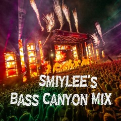 BASS CANYON 2022 MIX