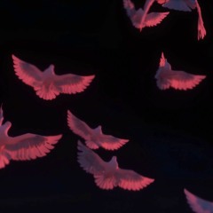 Window (Original Soundtrack For Quentin Deronzier X Will Smith - Paradigm)