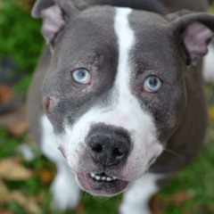 BabySmooth (ft. gudjer)