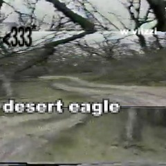 desert eagle w/ viizzi (frost’d x strang)
