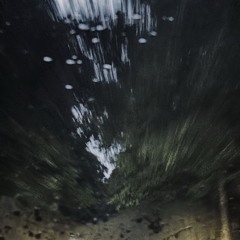 driving me, myself & i.