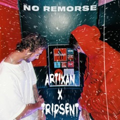 TRIPSENT x Artixan - No Remorse