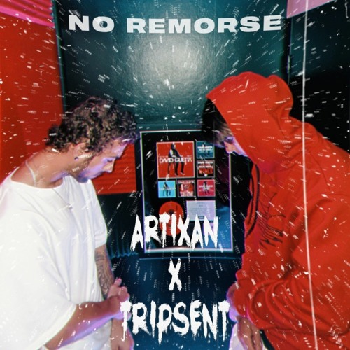 TRIPSENT x Artixan - No Remorse