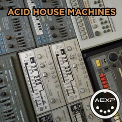 ACID HOUSE NEVER DIES - 2024  - Roland TB-303