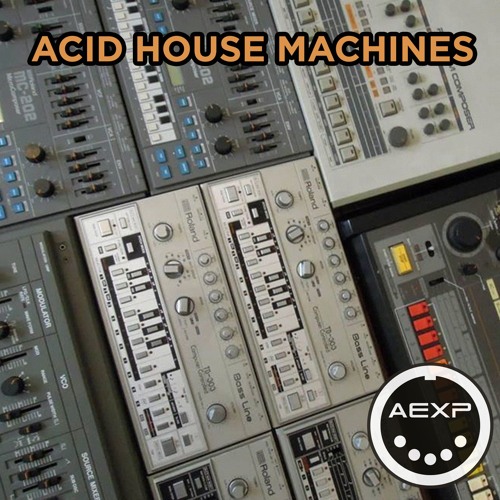 ACID HOUSE NEVER DIES - 2024  - Roland TB-303