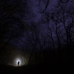 Nocturnally Melodic