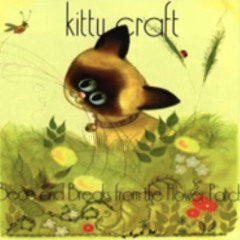 kitty craft- par 5
