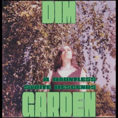 PREMIERE: Dim Garden - Visions Of Love [Italo Moderni]