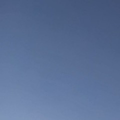 .restricted (.slowed (id)