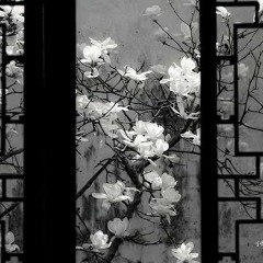 Late Blooming Girl – Jun Togawa