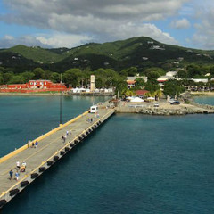 ISLAND MENTALITY