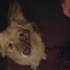 TremuluS - Me hundo - 2020