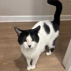 Bodega Night / Bluz Experience Mix Submission