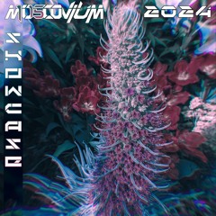 2024 Showcase Mix
