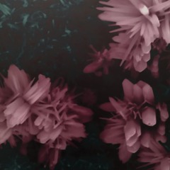 Hypnotic Retiro （╯°□°）╯