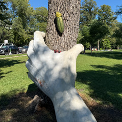 SUMMER SERIES EPISODE 13 ft johnny and watching like a hundred cubs games on the marquee sports network