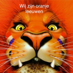 Barry Lake - Wij zijn oranje leeuwen