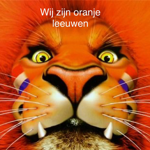 Barry Lake - Wij zijn oranje leeuwen