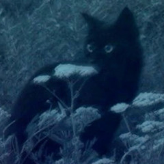 please come save me baby